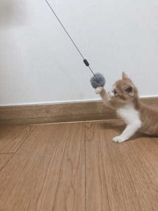 백여인님이 올린 리뷰 사진 2