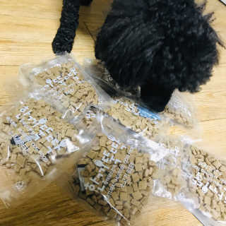 [펫토리아] 맛도 영양도 BEST 한끼뚝딱 강아지 사료 — 5점을 준 리뷰어가 2019년 4월 올린 사용 사진