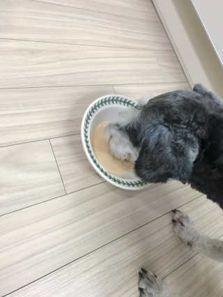 울몽돌님이 올린 리뷰 사진 2