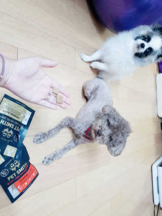 코콩님이 올린 리뷰 사진 4