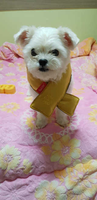엣헴님이 올린 리뷰 사진 4