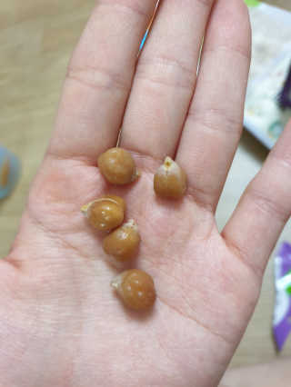 똥글똥글님이 올린 리뷰 사진 4