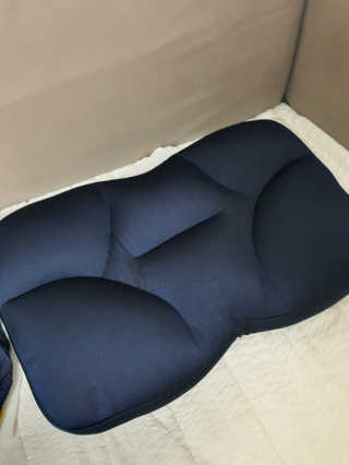 까사앤지오 요술베개 스페셜 에디션 — 4점을 준 리뷰어가 2020년 2월 올린 사용 사진