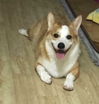 소영님이 올린 리뷰 사진 2
