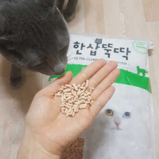 [펫토리아] BEST 고양이두부모래 6L 한삽뚝딱 — 3점을 준 리뷰어가 2019년 2월 올린 사용 사진