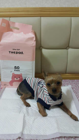 노별님이 올린 리뷰 사진 2