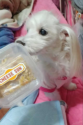 비커잠해피님이 올린 리뷰 사진 2