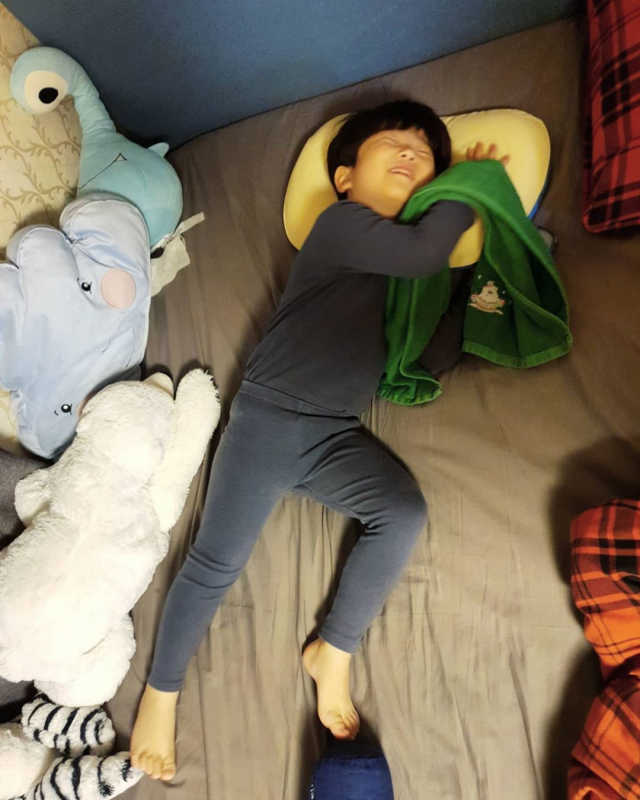 프리넥 컨디션 주니어 베개 리뷰 사진