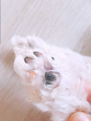 소다맘님이 올린 리뷰 사진 3
