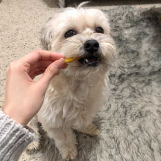 Lizduhlee님이 올린 리뷰 사진 1