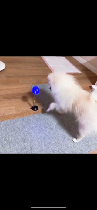 윰쭈리님이 올린 리뷰 사진 1