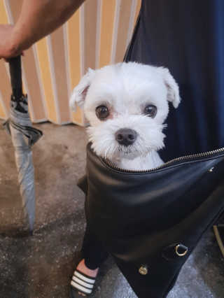 박혜림님이 올린 리뷰 사진 3