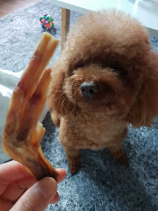 이람람님이 올린 리뷰 사진 2