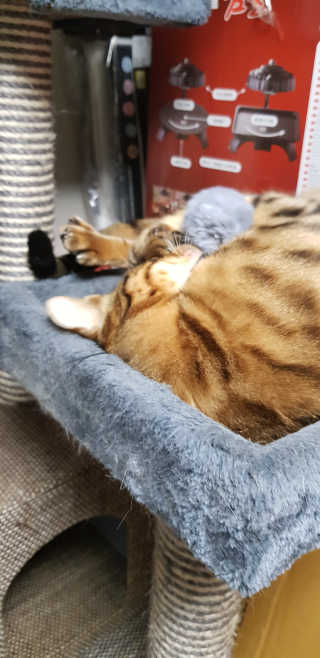 이설희님이 올린 리뷰 사진 1