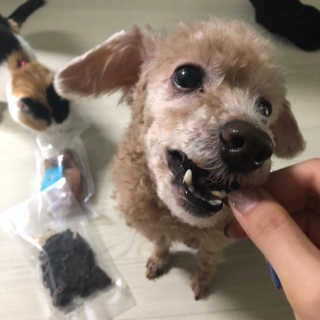 진이접속님이 올린 리뷰 사진 4