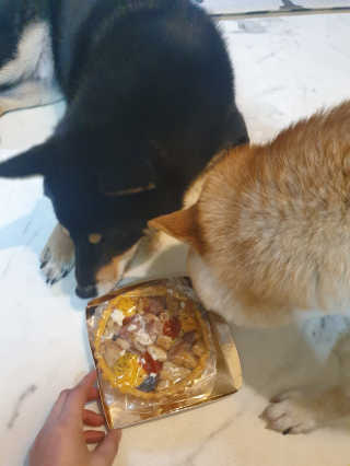 지또님이 올린 리뷰 사진 3