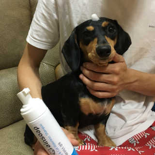 프리파라님이 올린 리뷰 사진 3