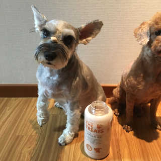 KyuBeomKwon님이 올린 리뷰 사진 3