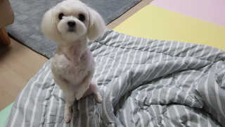 담님이 올린 리뷰 사진 3