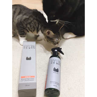 Eunhye님이 올린 리뷰 사진 4