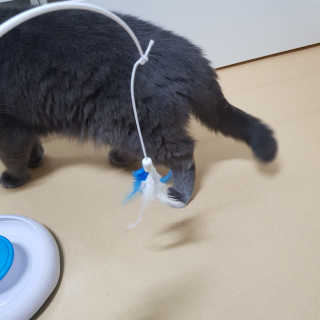 두두님이 올린 리뷰 사진 2