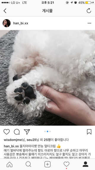 임한비님이 올린 리뷰 사진 2
