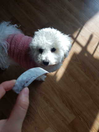 똘이님이 올린 리뷰 사진 1