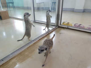 장윤정님이 올린 리뷰 사진 3