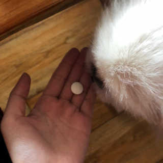 예둡님이 올린 리뷰 사진 3