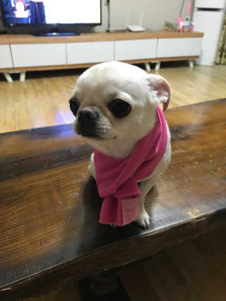 HyunEuihong님이 올린 리뷰 사진 3