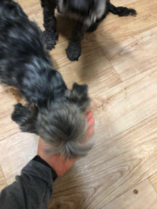 만원만줘님이 올린 리뷰 사진 3
