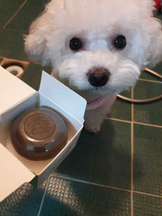 히스즈님이 올린 리뷰 사진 1