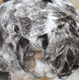 임센쓰님이 올린 리뷰 사진 3