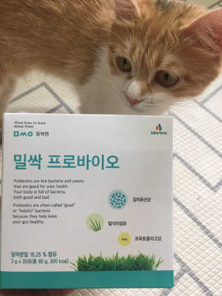 쿠키순대맘님이 올린 리뷰 사진 2