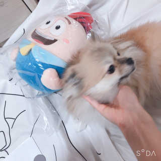 디자이너조은희님이 올린 리뷰 사진 2