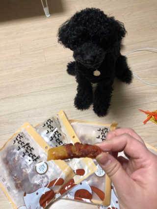 [펫토리아] 뚝딱뚝딱 400g 강아지 간식 베스트5종 — 5점을 준 리뷰어가 2019년 1월 올린 사용 사진