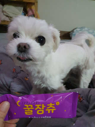 뽀오오옹님이 올린 리뷰 사진 1