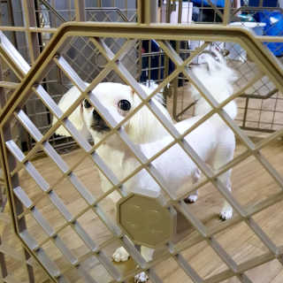 이수진님이 올린 리뷰 사진 2
