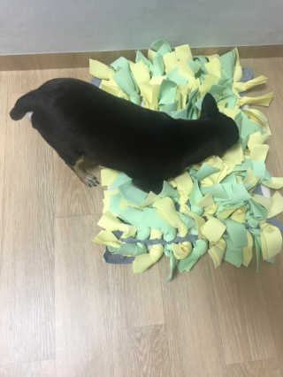 홍은별님이 올린 리뷰 사진 4