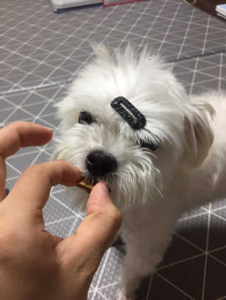 당근님이 올린 리뷰 사진 4