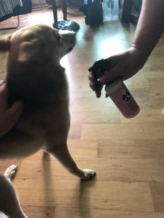 이철준님이 올린 리뷰 사진 1