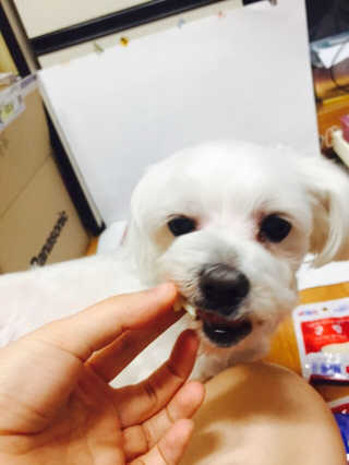 hyunjjin88님이 올린 리뷰 사진 4