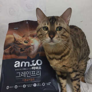 풀무원 아미오 그레인프리 3종 — 4.67점을 준 리뷰어가 2018년 4월 올린 사용 사진