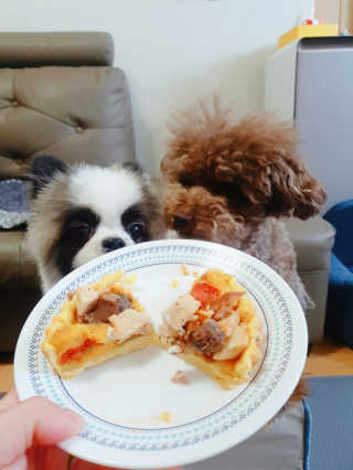 코콩님이 올린 리뷰 사진 3