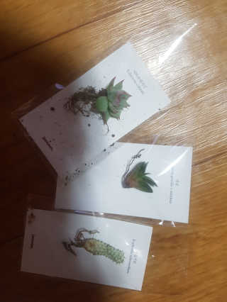 JellaYoon님이 올린 리뷰 사진 3