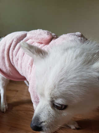 진진님이 올린 리뷰 사진 3