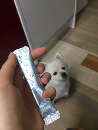 용수정님이 올린 리뷰 사진 2