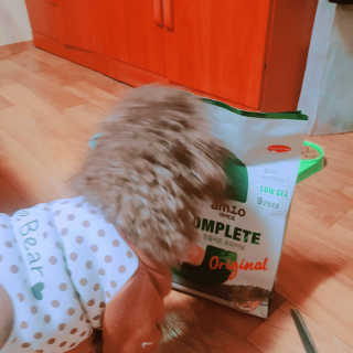 이예림님이 올린 리뷰 사진 2