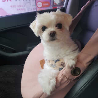 뽀오오옹님이 올린 리뷰 사진 3