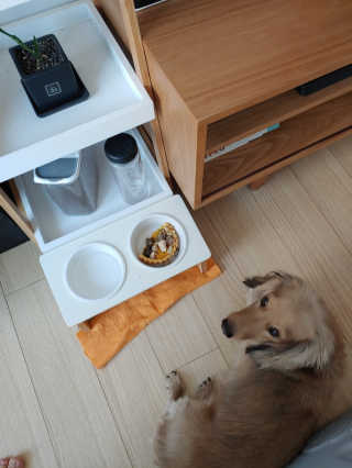 치토스님이 올린 리뷰 사진 2